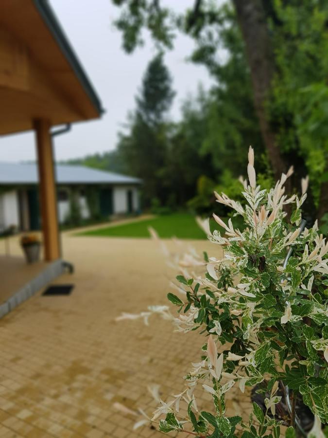 Kosiedlisko Villa Kraśnik Dış mekan fotoğraf