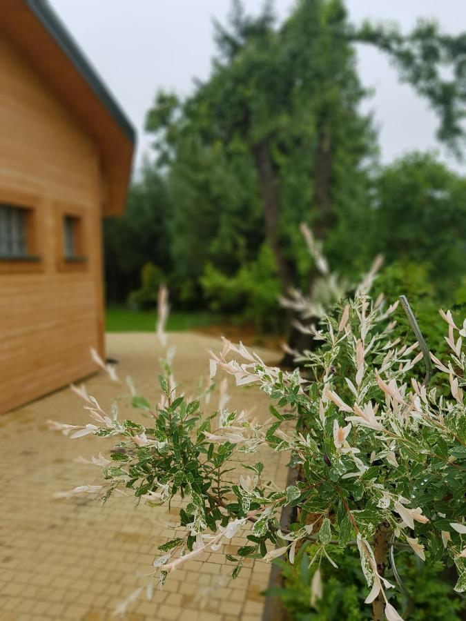 Kosiedlisko Villa Kraśnik Dış mekan fotoğraf