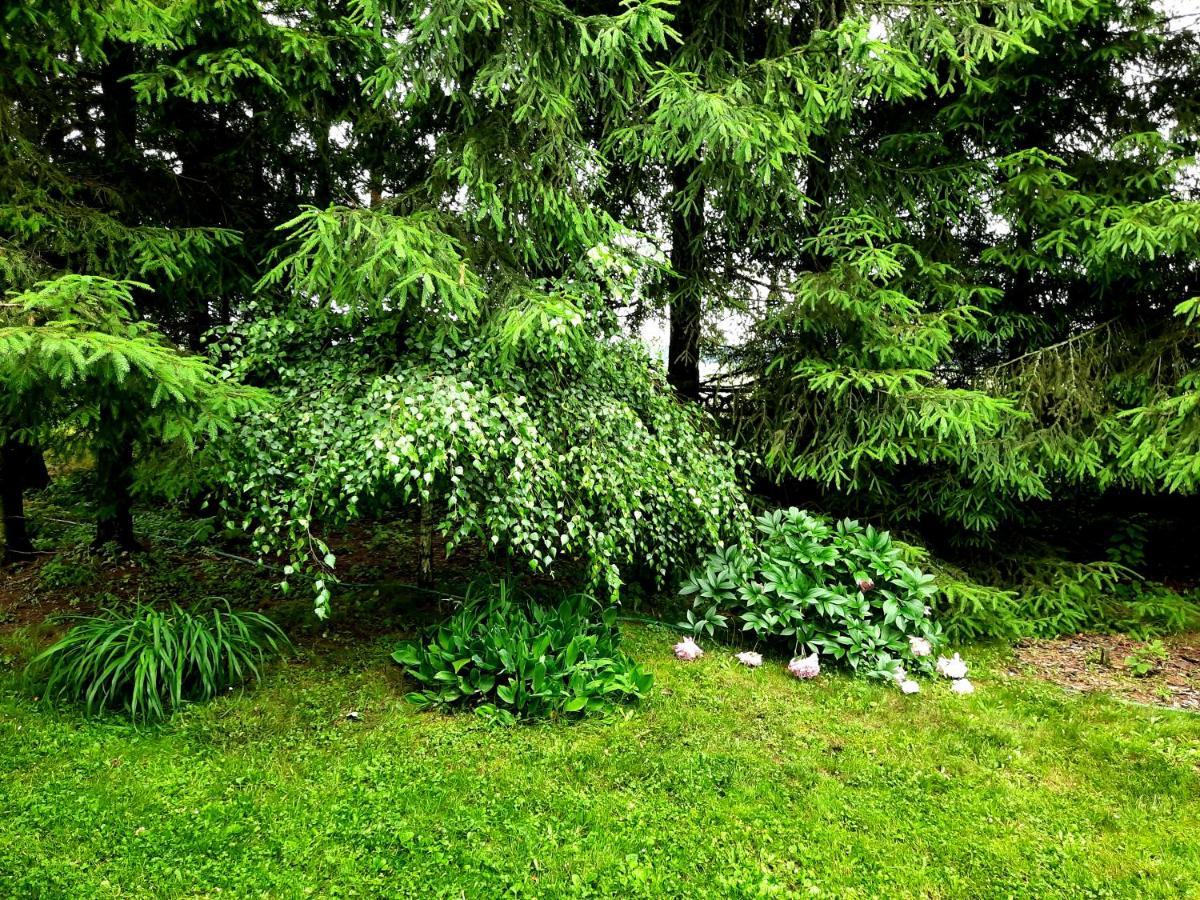 Kosiedlisko Villa Kraśnik Dış mekan fotoğraf