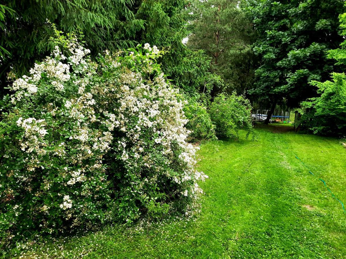Kosiedlisko Villa Kraśnik Dış mekan fotoğraf