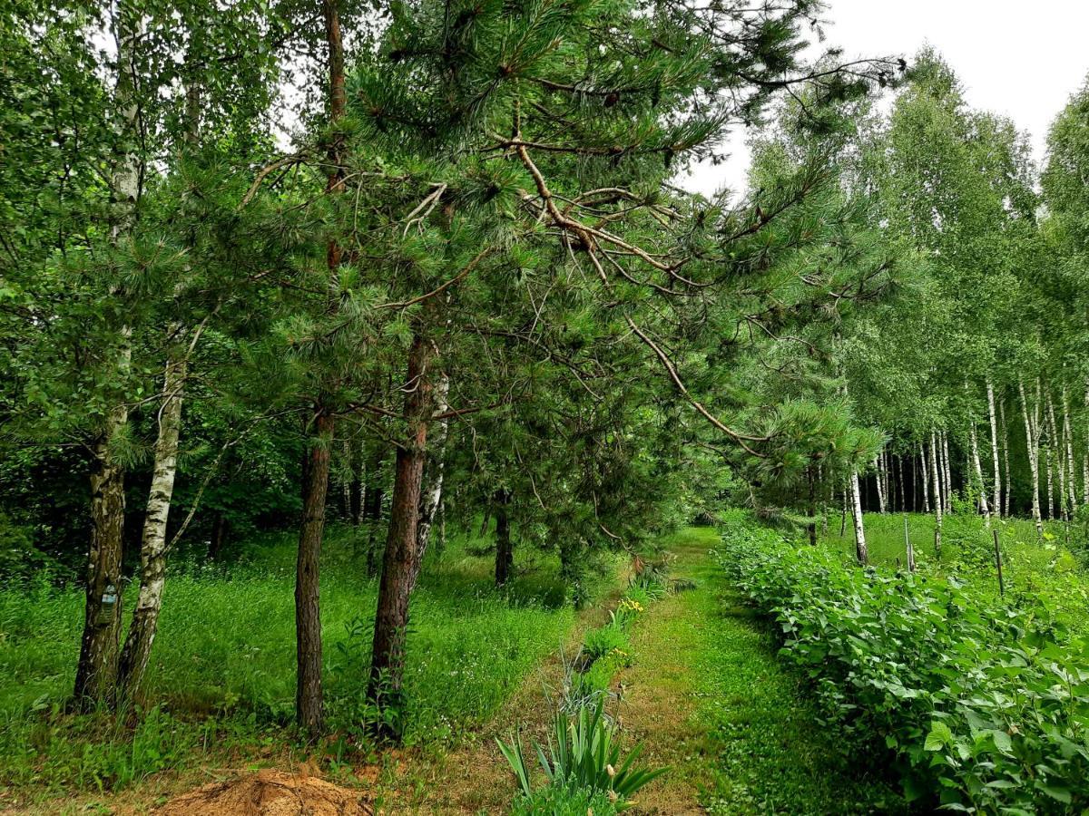 Kosiedlisko Villa Kraśnik Dış mekan fotoğraf